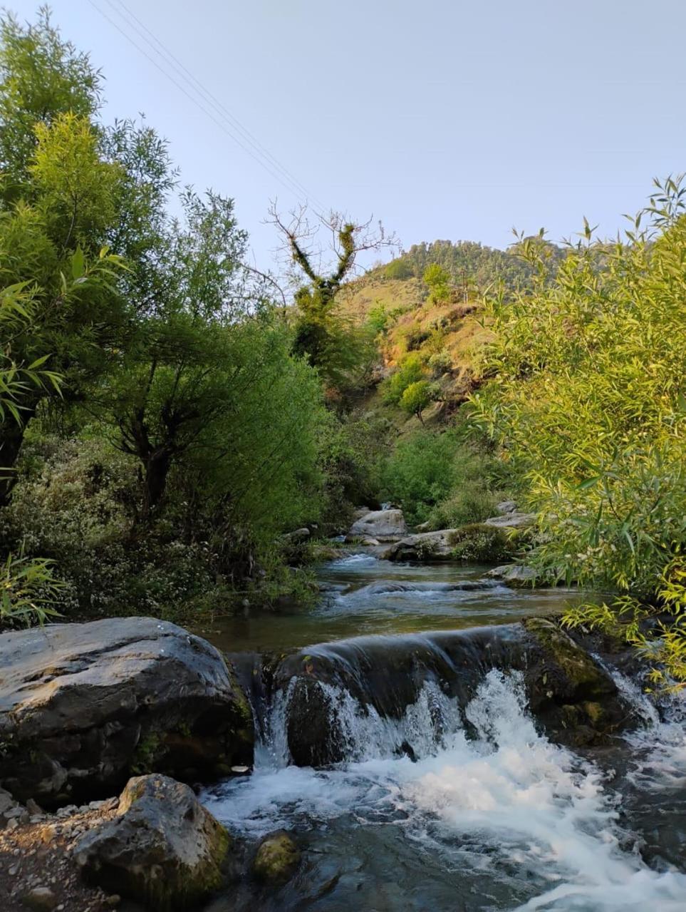 Rivulet Resort & Camping Mussoorie Buitenkant foto